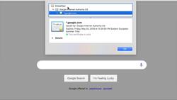 SSL Complete Guide 2021: HTTP to HTTPS - Overview of the Certificates of Some Popular Websites Instructional Video