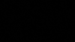 CLEAN : 500 year old inhabited French bridge set for repair works News Clip