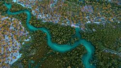 mangrove swamps at Mafia Island, Tanzania Stock Footage