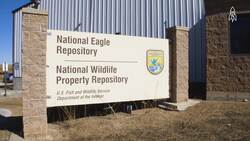 The vital role of the National Eagle repository Instructional Video