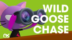 Wild Goose Chase Instructional Video