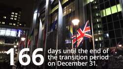 Brexit briefing: 166 days until the end of the transition period News Clip
