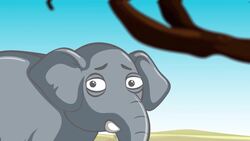 I WONDER - What Are Elephants Afraid Of? Instructional Video