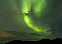 Emission Instructional Video