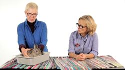 How to Handle a Pet Rabbit Instructional Video