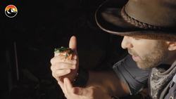 Frog Scavenger Hunt! - Can I Catch Them All? Instructional Video