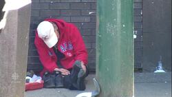 Opioid crisis may be declining Canadians' life expectancy News Clip