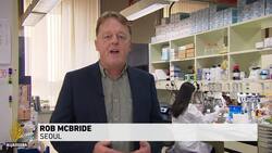 Researchers ramp up efforts to develop coronavirus vaccine News Clip