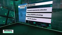 Woolly Mammoth Revival Begins With a Mouse News Clip