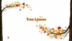 Tree Leaves (Use addition and/or subtraction to solve problems based on information presented in line plots) Instructional Video