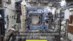 Monkey business in space News Clip