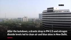 Lockdown reveals fresh and clean air in India Instructional Video