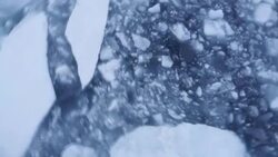 CLEAN : STOCKSHOTS of summer in the North Pole News Clip