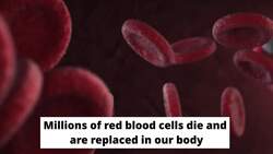 Does Donating Blood Burn Calories? Instructional Video