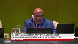 UN resolution passes: Resolution calls for humanitarian truce News Clip