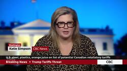 Steel, plastic and orange juice on list of potential retaliatory tariffs News Clip