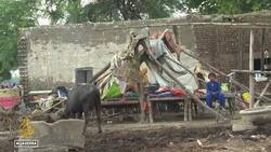 Millions in need of aid as ‘unprecedented’ floods hit Pakistan News Clip