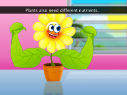 Nitrogen Nutrition in Plants Instructional Video
