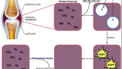 Physiological Mechanism of Popping ("Cracking") Joints Instructional Video
