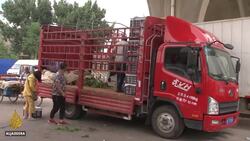 Beijing market outbreak sparks fears of second COVID-19 wave News Clip