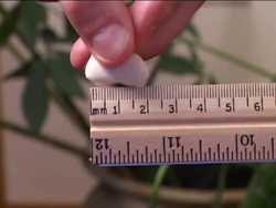 Measuring Length and Temperature: Tools for Measuring Length Instructional Video
