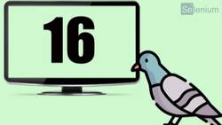 Palomas que detectan CÁNCER?? Instructional Video