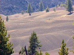 The Importance of Biodiversity Instructional Video