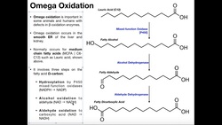 Omega Oxidation for Fatty Acids Instructional Video