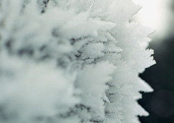 Crystal Instructional Video