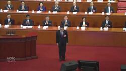 Protests reignite in Hong Kong after China enacts national security law News Clip