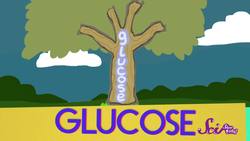 Where Does Sugar Come From? Science for Kids Instructional Video