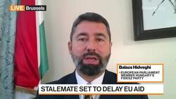 MEP Hidveghi on Rule-of-Law Conditionality Stalemate News Clip