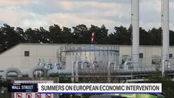 Summers on Dollar's Strength News Clip