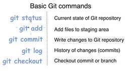 Complete Git Guide: Understand and Master Git and GitHub - Basic Git Commands Instructional Video