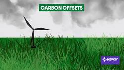 The Workaround Some Companies Use To Say They're 'Carbon-Neutral' News Clip