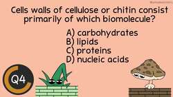Biomolecules: Before the Bell Biology Instructional Video