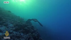 Trapping Zone: Maldives expedition uncovers new marine ecosystem News Clip