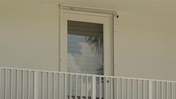 Exteriors of Epstein's property in Palm Beach Instructional Video