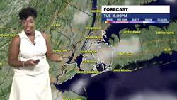 More rain set to affect Wednesday morning commute in Brooklyn Instructional Video