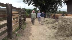 Sunak sits behind the wheel of blue tractor during Banbury visit News Clip