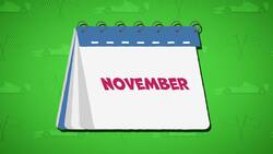 I WONDER - How Many Races Are There In A Formula One Season? Instructional Video