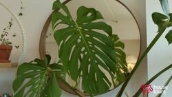 House Tour: A Food Artist’s NYC Home Is Incredibly Colorful Despite All-White Walls Instructional Video