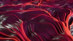 4K Abstract Muscle Tissue. Stock Footage