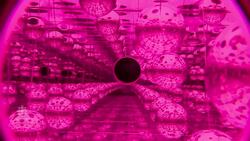 Peer into the void with Yayoi Kusama News Clip