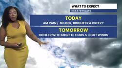 Morning showers for Brooklyn; tracking wet and windy weather for Thanksgiving News Clip