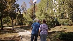 old age, retirement and people concept - happy senior couple walking at summer city park Stock Footage
