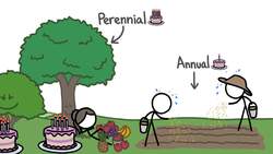 Why Our Favorite Crops Live Fast and Die Young Instructional Video