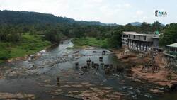 Discover the Pinnawala Elephant Orphanage in Sri Lanka Instructional Video