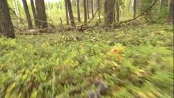 New First Nation firefighters train to protect their communities News Clip