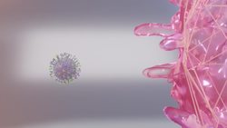 The coronavirus did not escape from a lab Instructional Video